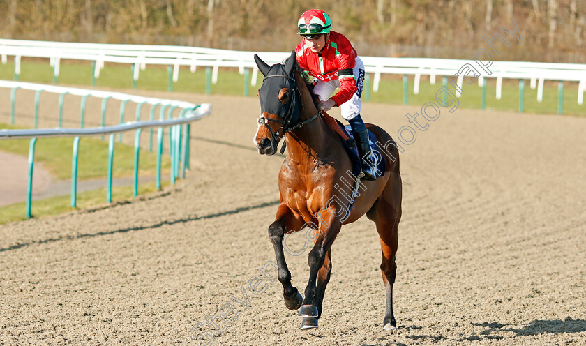 Flying-Dragon-0001 
 FLYING DRAGON (Thore Hammer Hansen)
Lingfield 8 Feb 2020 - Pic Steven Cargill / Racingfotos.com