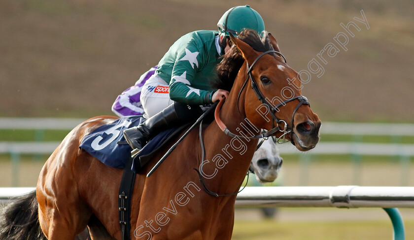 Amazing-0002 
 AMAZING (Hollie Doyle)
Lingfield 20 Jan 2024 - Pic Steven Cargill / Racingfotos.com