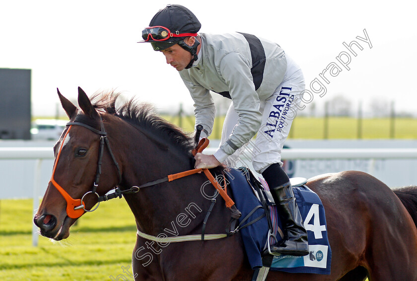 Dance-Legend-0001 
 DANCE LEGEND (Dane O'Neill)
Bath 16 Oct 2019 - Pic Steven Cargill / Racingfotos.com