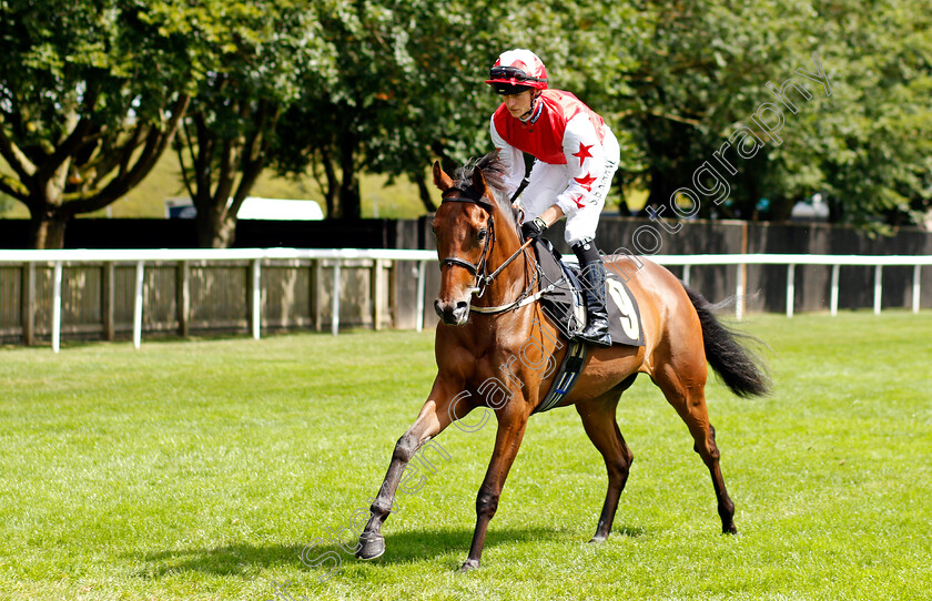 La-Belle-Vie-0001 
 LA BELLE VIE (Sean Kirrane)
Newmarket 7 Aug 2021 - Pic Steven Cargill / Racingfotos.com