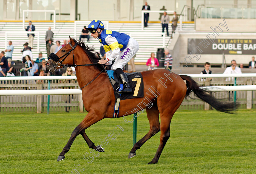 Placo-0001 
 PLACO (Kieran Shoemark)
Newmarket 7 Oct 2023 - Pic Steven Cargill / Racingfotos.com