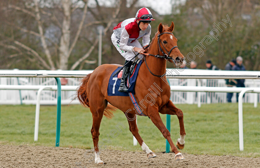 Sweet-Talked-0001 
 SWEET TALKED (Luke Morris)
Lingfield 22 Feb 2020 - Pic Steven Cargill / Racingfotos.com