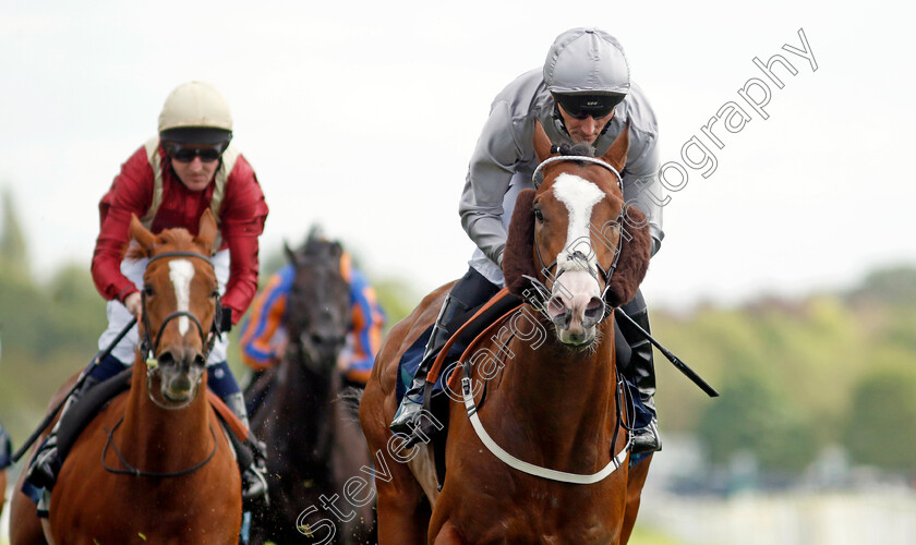 Last-Crusader-0008 
 LAST CRUSADER (Daniel Tudhope) wins The British Stallion Studs EBF Westow Stakes
York 12 May 2022 - Pic Steven Cargill / Racingfotos.com