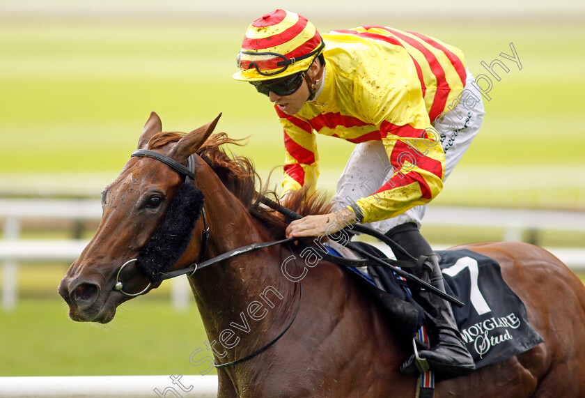 Lumiere-Rock-0001 
 LUMIERE ROCK (Dylan Browne McMonagle) wins The Moyglare Jewels Blandford Stakes
The Curragh 10 Sep 2023 - Pic Steven Cargill / Racingfotos.com