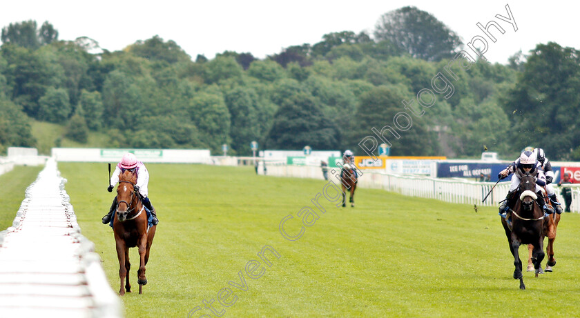 Arctic-Fox-0001 
 ARCTIC FOX (Carol Bartley) wins The Queen Mother's Cup
York 15 Jun 2019 - Pic Steven Cargill / Racingfotos.com