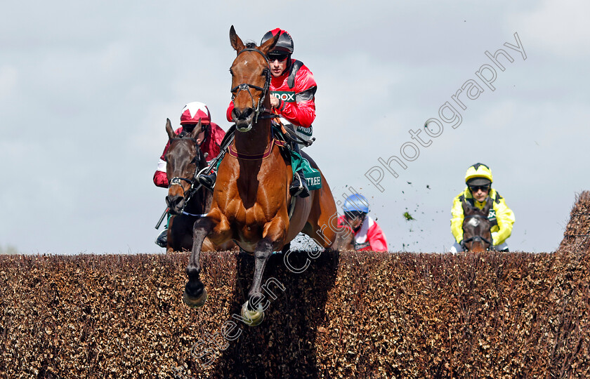 Ahoy-Senor-0003 
 AHOY SENOR (Brian Hughes)
Aintree 13 Apr 2023 - Pic Steven Cargill / Racingfotos.com