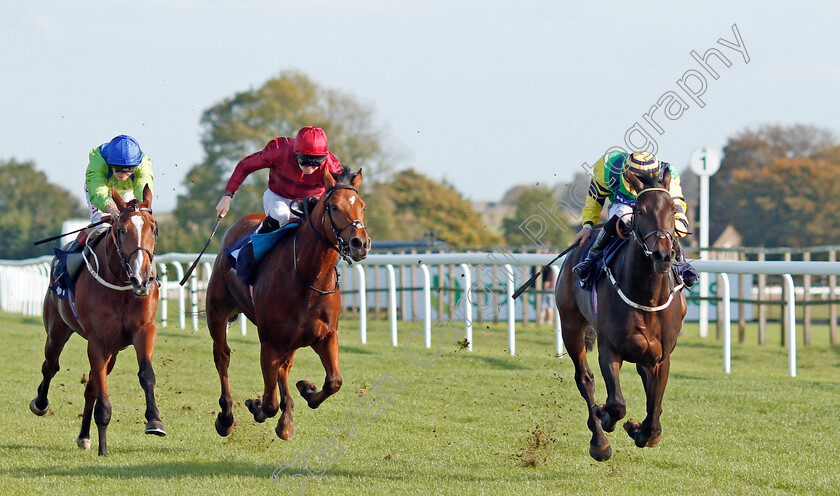 Midnights-Legacy-0004 
 MIDNIGHTS LEGACY (Tom Marquand) beats HERMAN HESSE (2nd left) and SALAMANCA SCHOOL (left) in The Download The Star Sports App Now EBF Novice Stakes
Bath 16 Oct 2019 - Pic Steven Cargill / Racingfotos.com