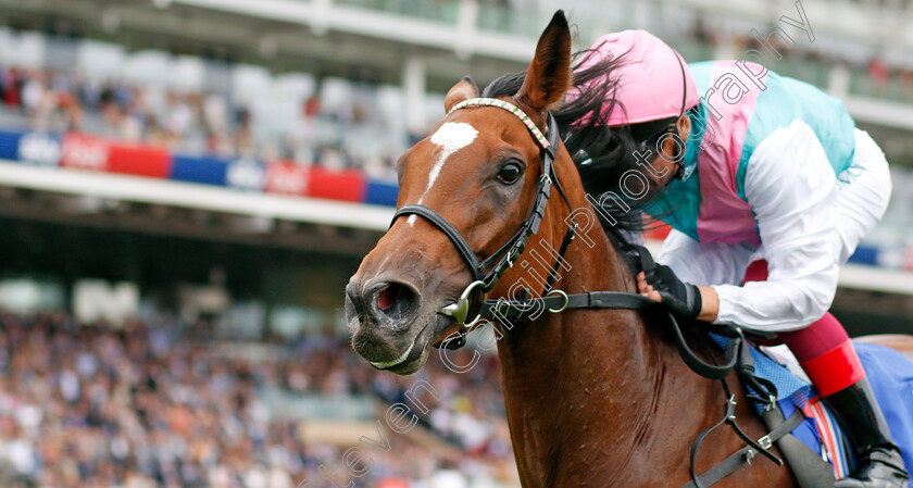 Enable-0009 
 ENABLE (Frankie Dettori) wins The Darley Yorkshire Oaks
York 22 Aug 2019 - Pic Steven Cargill / Racingfotos.com