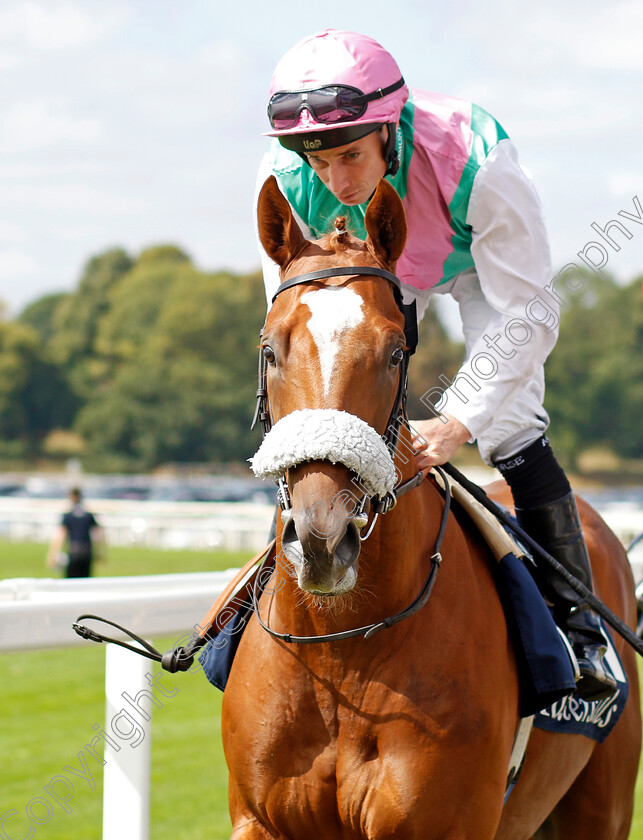 Chaldean-0001 
 CHALDEAN (Ryan Moore) winner of The Tattersalls Acomb Stakes
York 17 Aug 2022 - Pic Steven Cargill / Racingfotos.com