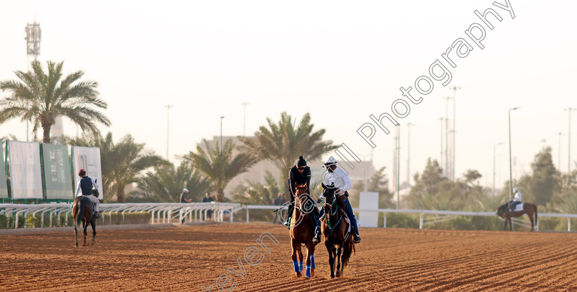 Taiba-0001 
 TAIBA training for the Saudi Cup
King Abdulaziz Racecourse, Kingdom Of Saudi Arabia, 23 Feb 2023 - Pic Steven Cargill / Racingfotos.com