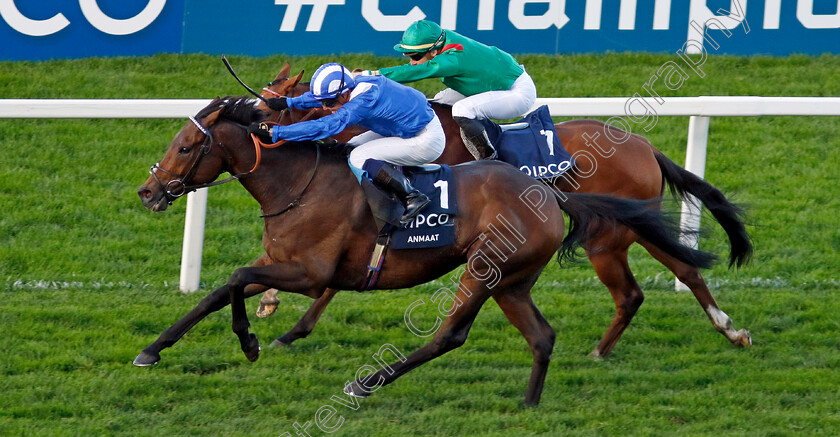 Anmaat-0005 
 ANMAAT (Jim Crowley) wins The Qipco Champion Stakes
Ascot 19 Oct 2024 - Pic Steven Cargill / Racingfotos.com