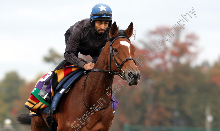 Enable-0011 
 ENABLE exercising ahead of the Breeders' Cup Turf
Churchill Downs 30 Oct 2018 - Pic Steven Cargill / Racingfotos.com