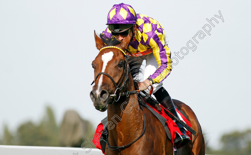 Skyman-0010 
 SKYMAN (Jason Watson) wins The Betway Live Casino Handicap
Sandown 30 Aug 2019 - Pic Steven Cargill / Racingfotos.com