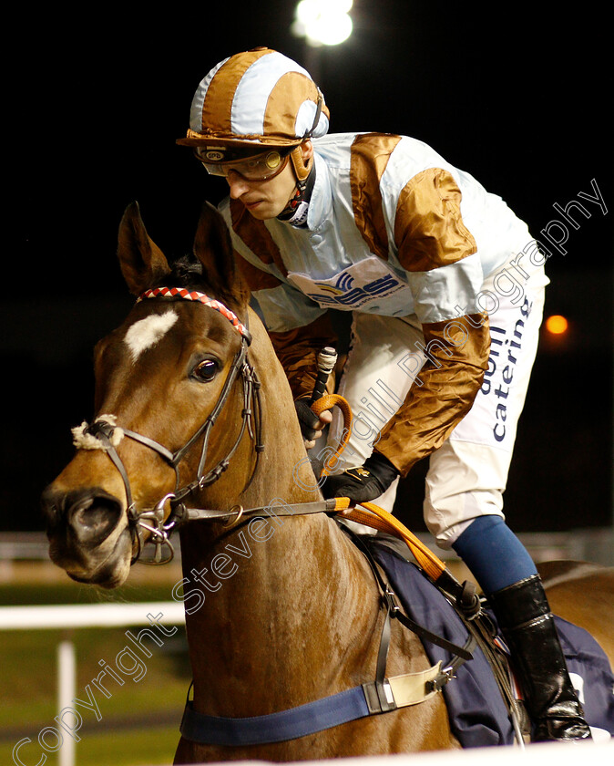 Michele-Strogoff-0001 
 MICHELE STROGOFF (Alistair Rawlinson)
Wolverhampton 7 Jan 2019 - Pic Steven Cargill / Racingfotos.com