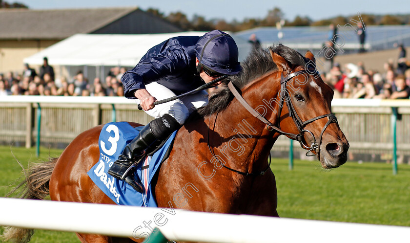 City-Of-Troy-0004 
 CITY OF TROY (Ryan Moore) wins The Dewhurst Stakes
Newmarket 14 Oct 2023 - Pic Steven Cargill / Racingfotos.com