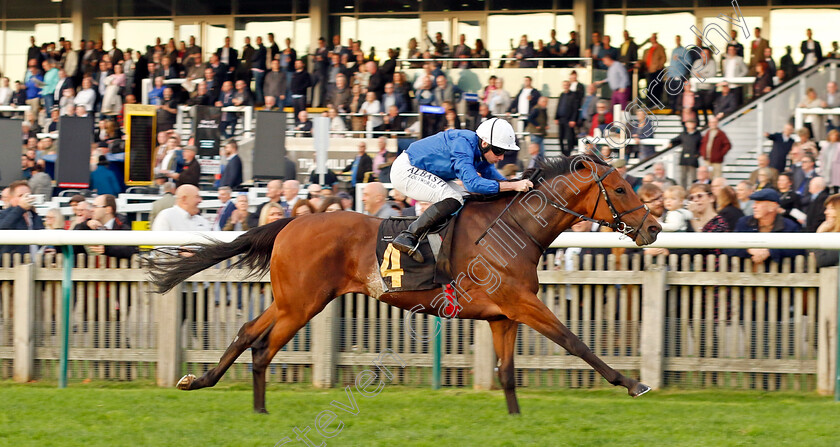 Ottoman-Fleet-0006 
 OTTOMAN FLEET (Ryan Moore) wins The National Stud Welcomes Stradivarius James Seymour Stakes
Newmarket 29 Oct 2022 - Pic Steven Cargill / Racingfotos.com