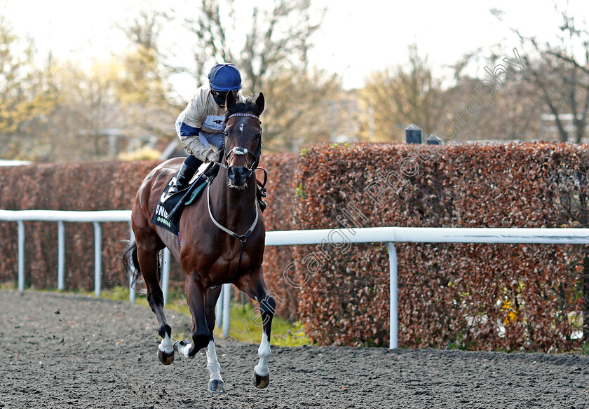 Imperial-Sands-0001 
 IMPERIAL SANDS (Hollie Doyle)
Kempton 5 Apr 2021 - Pic Steven Cargill / Racingfotos.com