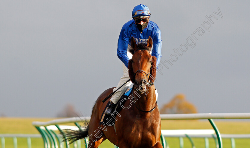 King s-Command-0002 
 KING'S COMMAND (James Doyle)
Newmarket 31 Oct 2020 - Pic Steven Cargill / Racingfotos.com