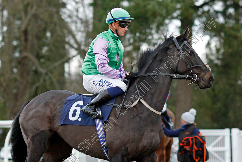 Winklevi 
 WINKLEVI (Jim Crowley)
Lingfield 1 Dec 2021 - Pic Steven Cargill / Racingfotos.com