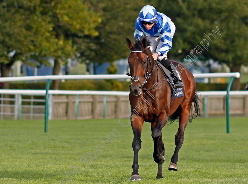 Military-Academy-0001 
 MILITARY ACADEMY (Kieran Shoemark)
Newmarket 27 Sep 2024 - Pic Steven Cargill / Racingfotos.com