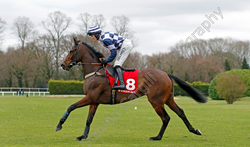 Diplomatic-Ash-0001 
 DIPLOMATIC ASH (David Noonan)
Sandown 3 Feb 2024 - Pic Steven Cargill / Racingfotos.com