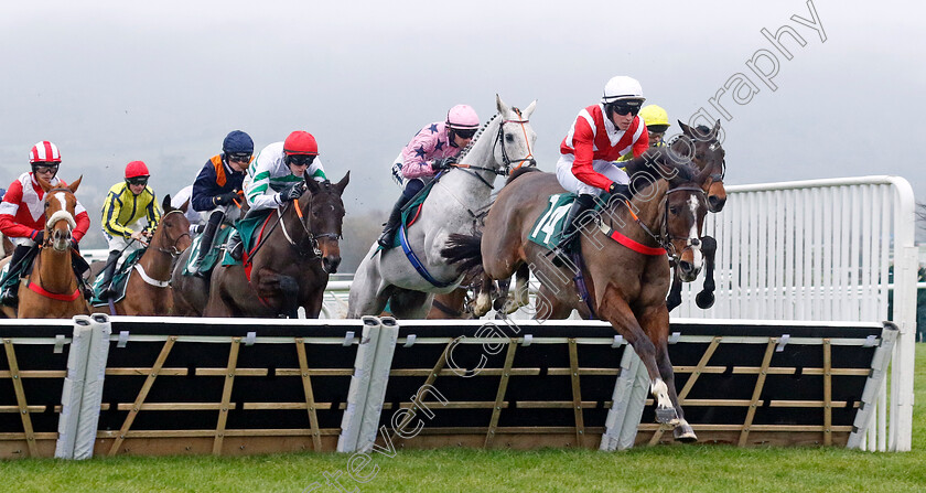 Lively-Citizen-0001 
 LIVELY CITIZEN (Daire McConville)
Cheltenham 14 Dec 2024 - Pic Steven Cargill / Racingfotos.com