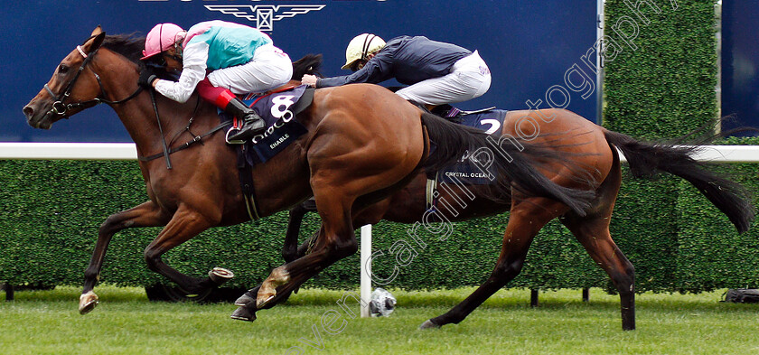 Enable-0016 
 ENABLE (Frankie Dettori) wins The King George VI and Queen Elizabeth Stakes
Ascot 27 Jul 2019 - Pic Steven Cargill / Racingfotos.com