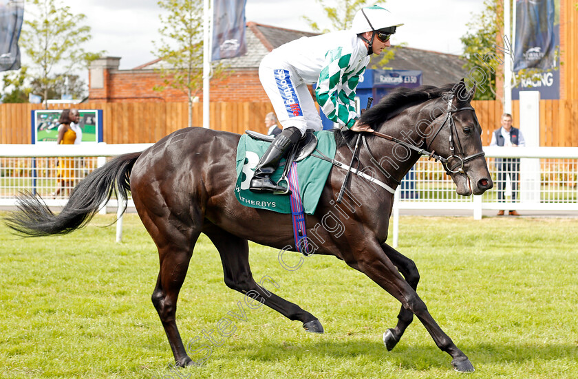 Ventura-Rebel-0001 
 VENTURA REBEL (Paul Hanagan)
Newbury 20 Jul 2019 - Pic Steven Cargill / Racingfotos.com