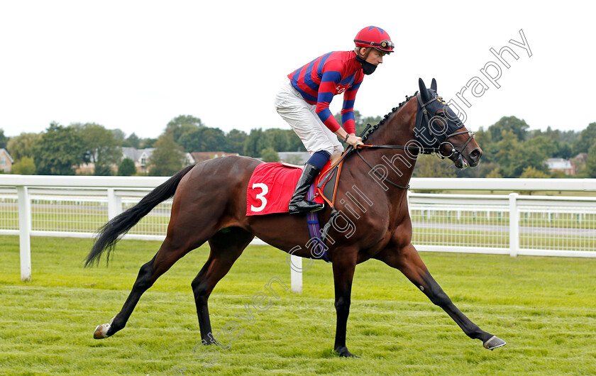 Conquering-Eagle-0002 
 CONQUERING EAGLE (Rob Hornby)
Sandown 23 Aug 2020 - Pic Steven Cargill / Racingfotos.com