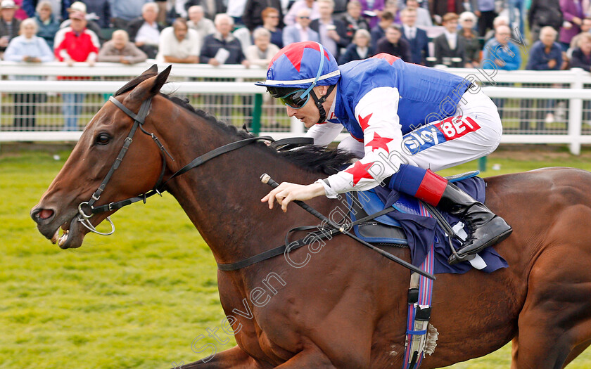 Great-Hall-0006 
 GREAT HALL (Fran Berry) wins The Get On With Dan Hague Handicap Yarmouth 21 Sep 2017 - Pic Steven Cargill / Racingfotos.com