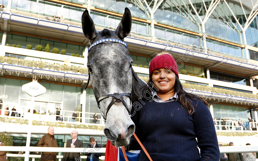 Angels-Breath-0004 
 ANGELS BREATH after The Sky Bet Supreme Trial Novices Hurdle
Ascot 21 Dec 2018 - Pic Steven Cargill / Racingfotos.com