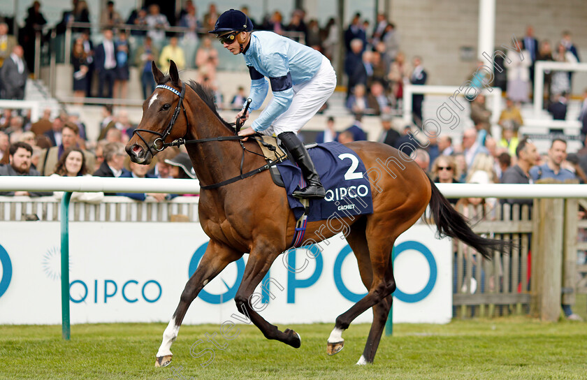 Cachet-0002 
 CACHET (James Doyle) winner of The Qipco 1000 Guineas
Newmarket 1 May 2022 - Pic Steven Cargill / Racingfotos.com