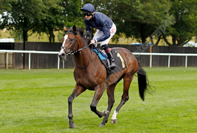 Army-General-0001 
 ARMY GENERAL (Robert Havlin)
Newmarket 27 Aug 2021 - Pic Steven Cargill / Racingfotos.com