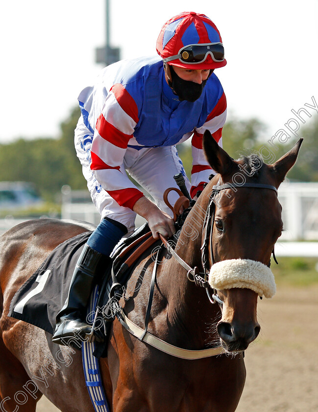 Allaboutthebreath-0001 
 ALLABOUTTHEBREATH (Joey Haynes)
Chelmsford 20 Sep 2020 - Pic Steven Cargill / Racingfotos.com