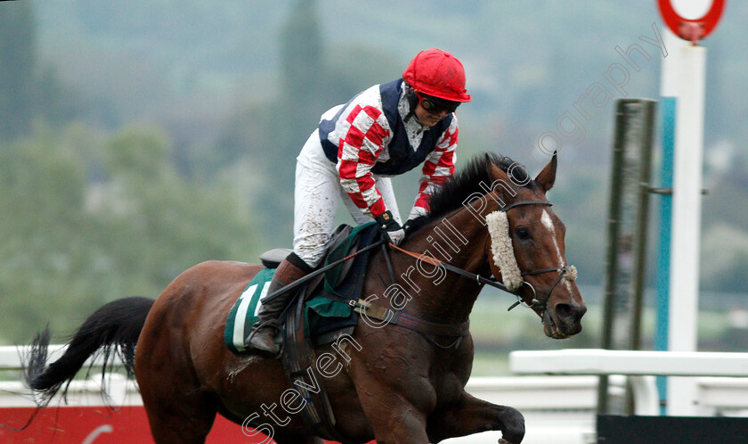 Southfield-Theatre-0004 
 SOUTHFIELD THEATRE (Lily Bradstock) wins The Are You Well, I Thought You Were Open Hunters Chase
Cheltenham 3 May 2019 - Pic Steven Cargill / Racingfotos.com