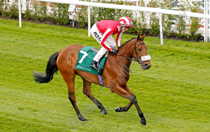 Sisyphus-Strength-0001 
 SISYPHUS STRENGTH (David Egan)
Chester 10 May 2023 - pic Steven Cargill / Racingfotos.com