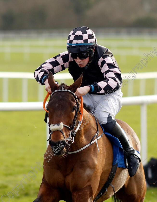 Prince-Zaltar-0001 
 PRINCE ZALTAR (B J Walsh)
Punchestown 12 Jan 2025 - Pic Steven Cargill / Racingfotos.com