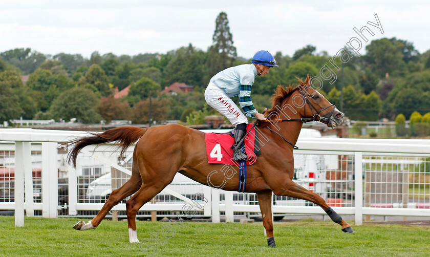 Not-So-Sleepy 
 NOT SO SLEEPY (Tom Marquand)
Sandown 1 Jul 2022 - Pic Steven Cargill / Racingfotos.com