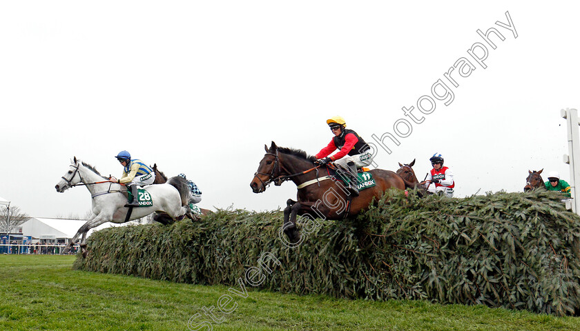 Ultragold-0001 
 ULTRAGOLD (centre, Harry Cobden) jumps with GREYBOUGG (left) on his way to winning The Randox Health Topham Handicap Chase Aintree 13 Apr 2018 - Pic Steven Cargill / Racingfotos.com