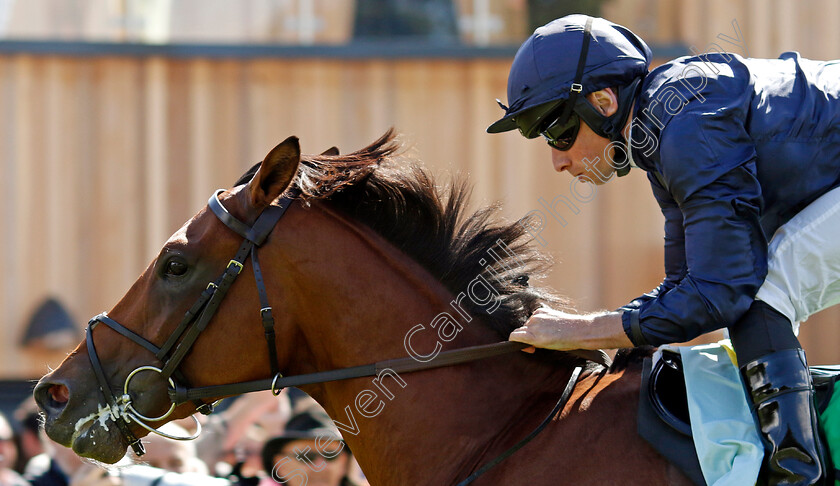 City-Of-Troy-0001 
 CITY OF TROY (Ryan Moore) wins The bet365 Superlative Stakes
Newmarket 15 Jul 2023 - Pic Steven Cargill / Racingfotos.com