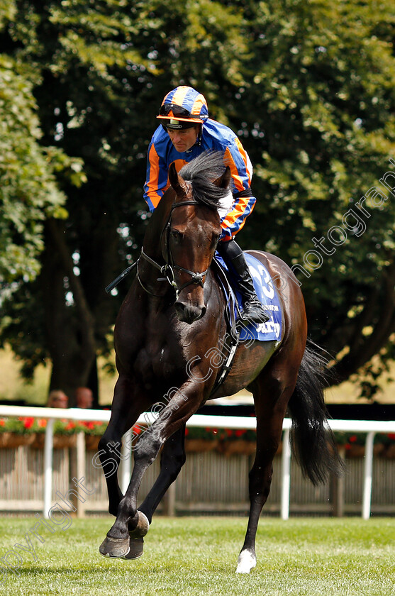 Sioux-Nation-0001 
 SIOUX NATION (Seamie Heffernan)
Newmarket 14 Jul 2018 - Pic Steven Cargill / Racingfotos.com