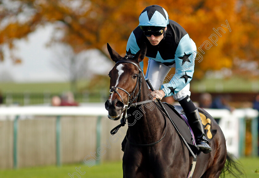 Pershalla-0001 
 PERSHALLA (Kieran Shoemark)
Newmarket 23 Oct 2024 - Pic Steven Cargill / Racingfotos.com