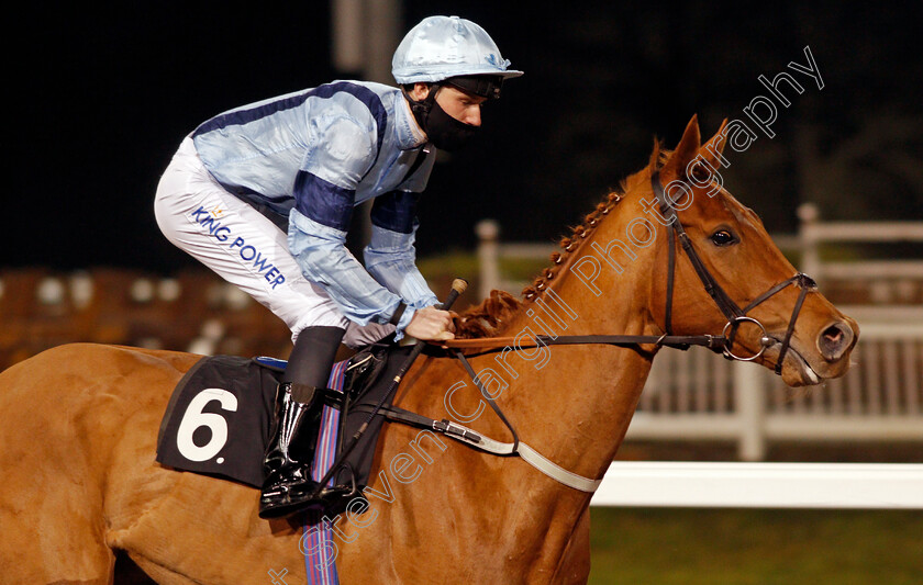 Top-Drop-0001 
 TOP DROP (Joshua Bryan)
Chelmsford 14 Jan 2021 - Pic Steven Cargill / Racingfotos.com