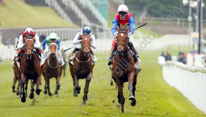 Mehdaayih-0003 
 MEHDAAYIH (Robert Havlin) wins The Arkle Finance Cheshire Oaks
Chester 8 May 2019 - Pic Steven Cargill / Racingfotos.com