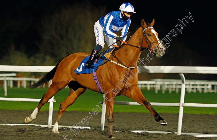 Johnny-Drama-0001 
 JOHNNY DRAMA (Silvestre De Sousa) winner of The Unibet Wild Flower Stakes
Kempton 2 Dec 2020 - Pic Steven Cargill / Racingfotos.com