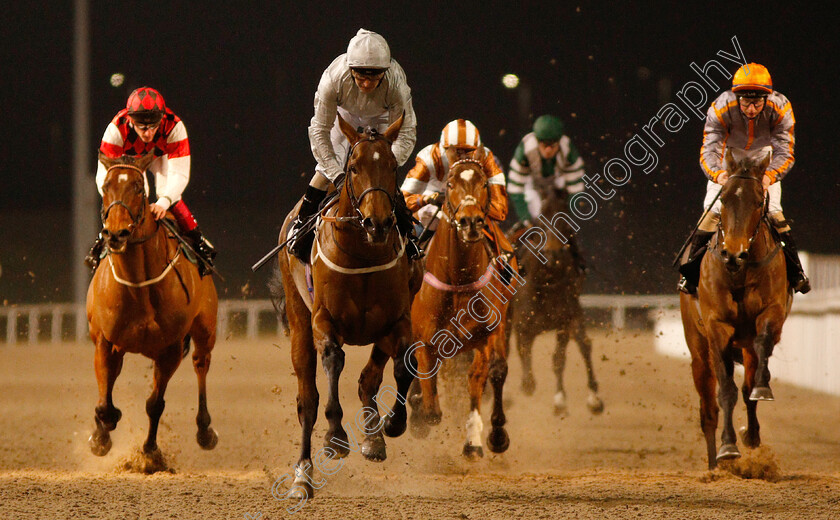 Matterhorn-0004 
 MATTERHORN (Joe Fanning) wins The Bet In Play totesport.com Handicap
Chelmsford 20 Feb 2019 - Pic Steven Cargill / Racingfotos.com