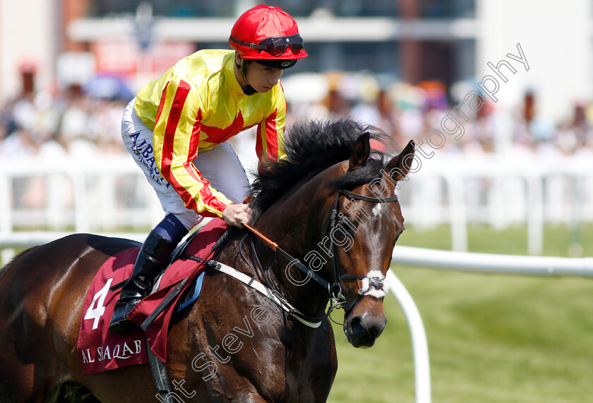 Loyal-Promise-0001 
 LOYAL PROMISE (Oisin Murphy)
Newbury 19 May 2018 - Pic Steven Cargill / Racingfotos.com