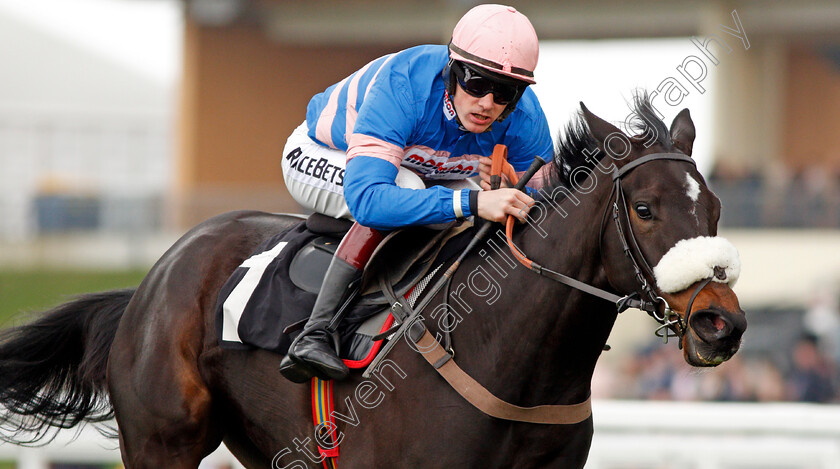 Malaya-0005 
 MALAYA (Sam Twiston-Davies) wins The Sport Relief/GBR Billion Steps Challenge Juvenile Handicap Hurdle 25 Mar 2018 - Pic Steven Cargill / Racingfotos.com