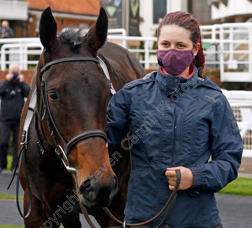 Ventura-Diamond-0007 
 VENTURA DIAMOND after The Irish Stallion Farms EBF Bosra Sham Fillies Stakes
Newmarket 30 Oct 2020 - Pic Steven Cargill / Racingfotos.com