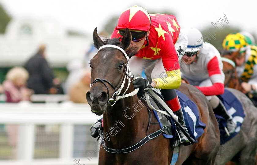 Son-Of-Man-0003 
 SON OF MAN (David Egan) wins The British Stallion Studs EBF Novice Stakes Div1
Yarmouth 19 Sep 2023 - Pic Steven Cargill / Racingfotos.com